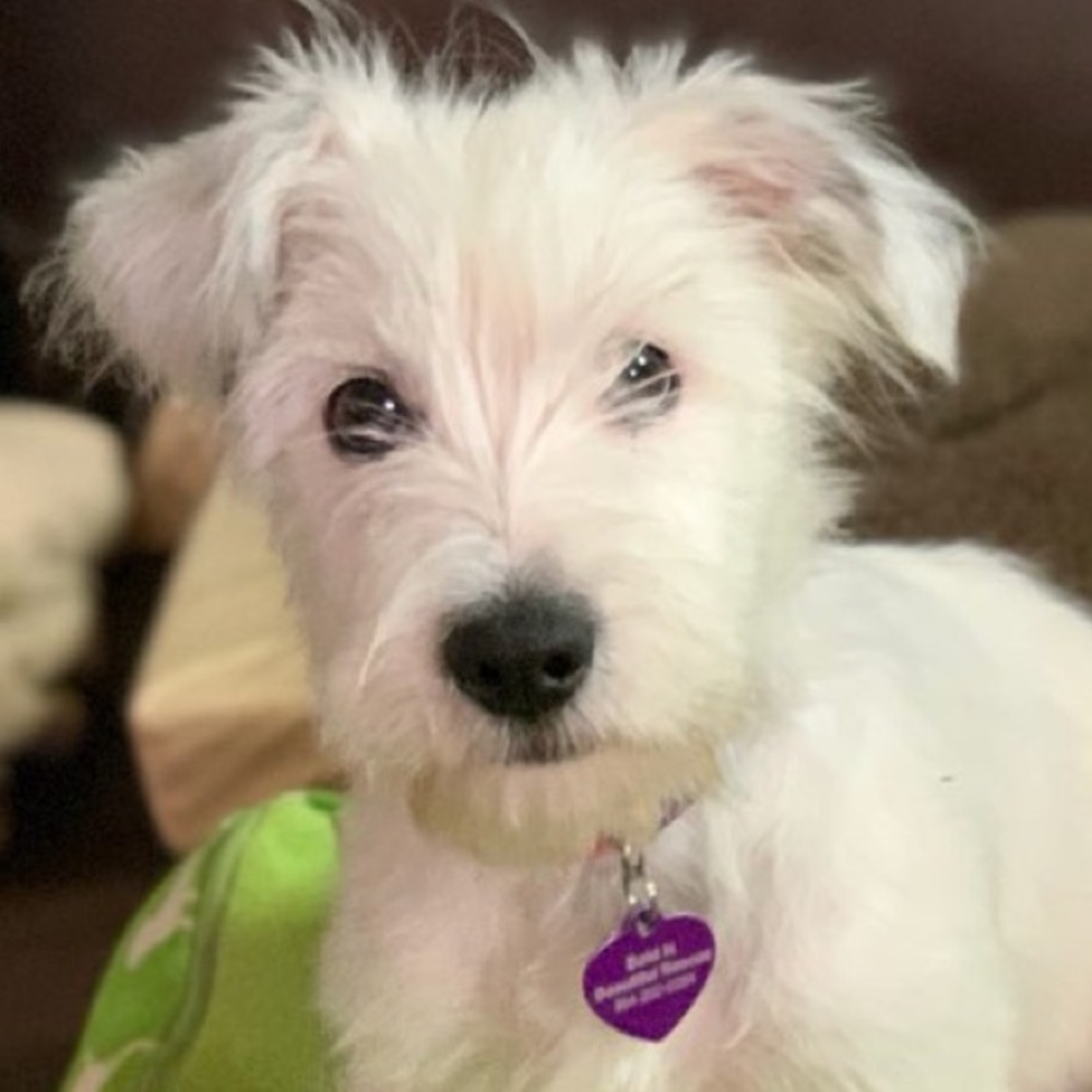 Meet your Posher, Melanie